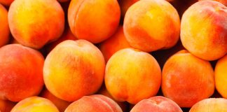 Брескви или бресака? Фото: advent.hr