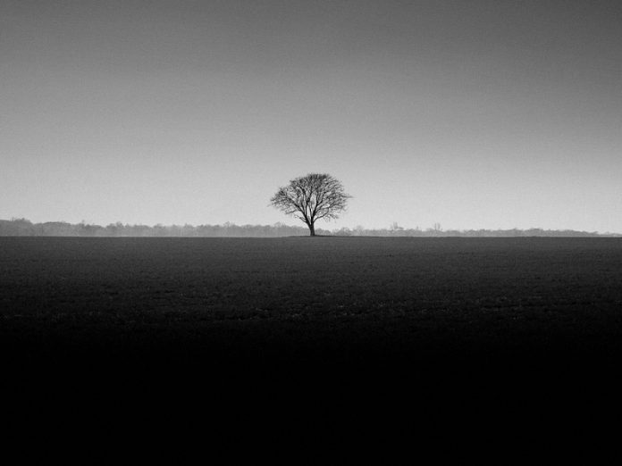 Фото: Фотер