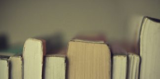 Фото: Фотер