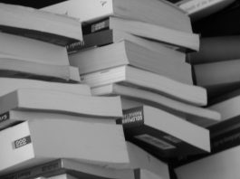 Фото: Фотер