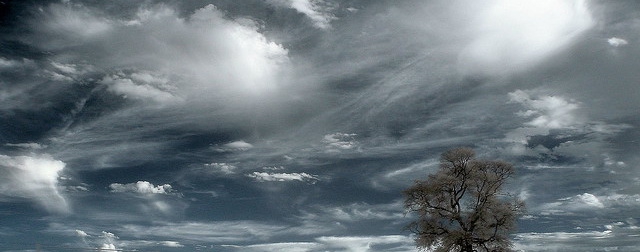 zachstern / photo on flickr
